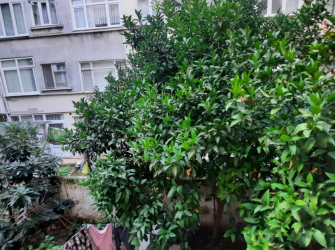 Bakırköy Osmaniye'de 1+1 Kat Mülkiyetli 70 m2 Yüksek Giriş Daire