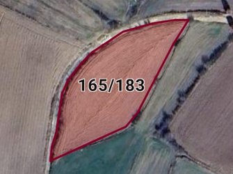 Kırklareli Merkez Erikler Köyünde 3775 m2 Tek Tapulu Bağ