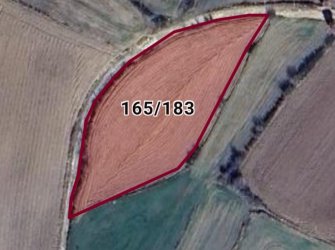 Kırklareli Merkez Erikler Köyünde 3775 m2 Tek Tapulu Bağ